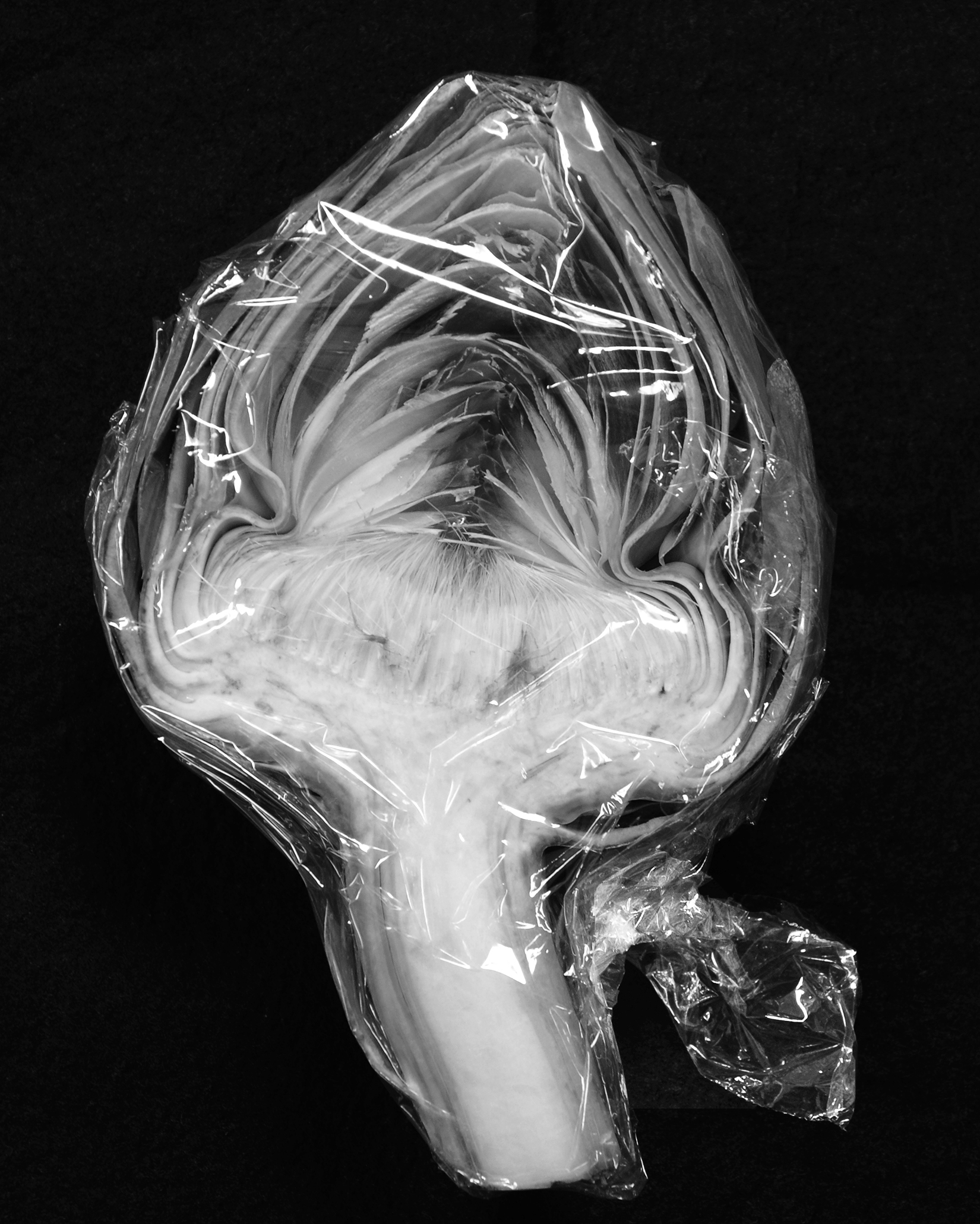 Image of an artichoke in plastic wrap