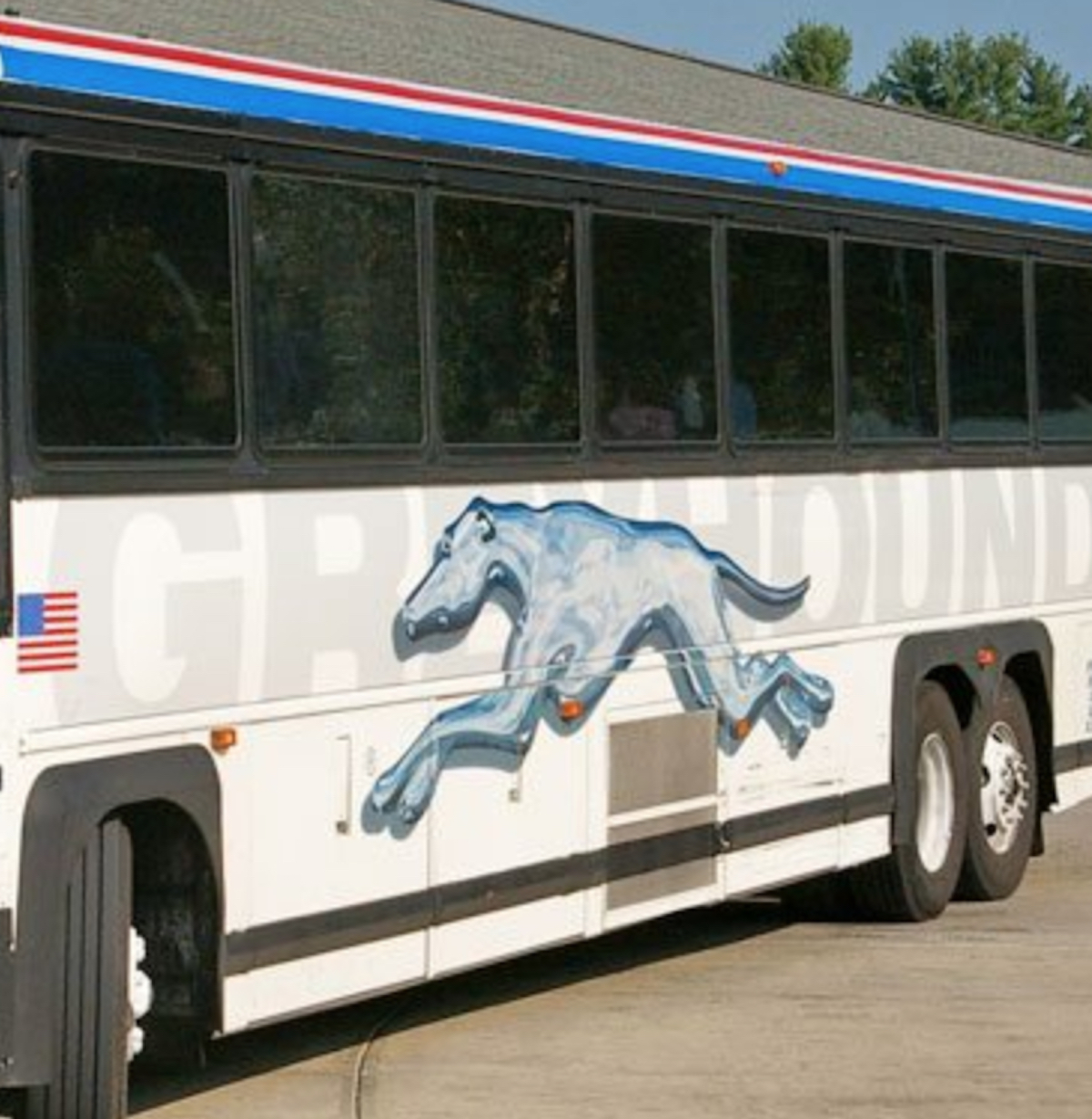 Close up photo of Greyhound bus