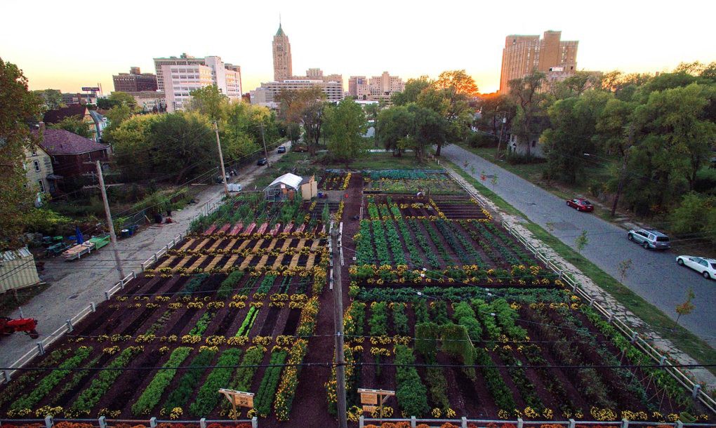 case study of urban agriculture redeveloping detroit