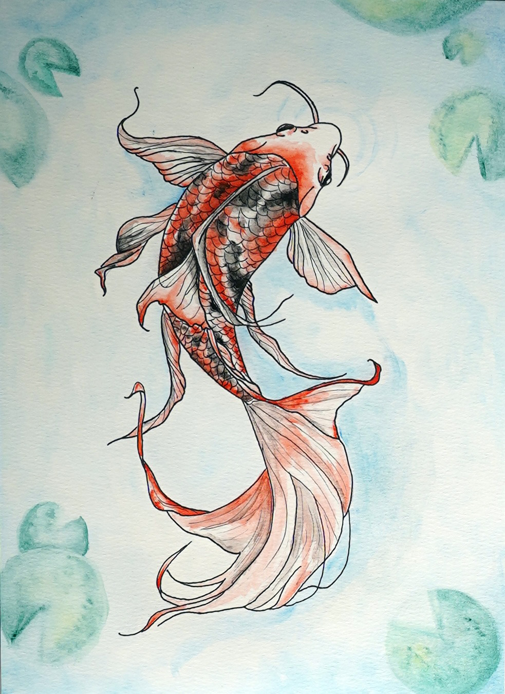 Colorful drawing of a koi in a pond by Olivia Sage