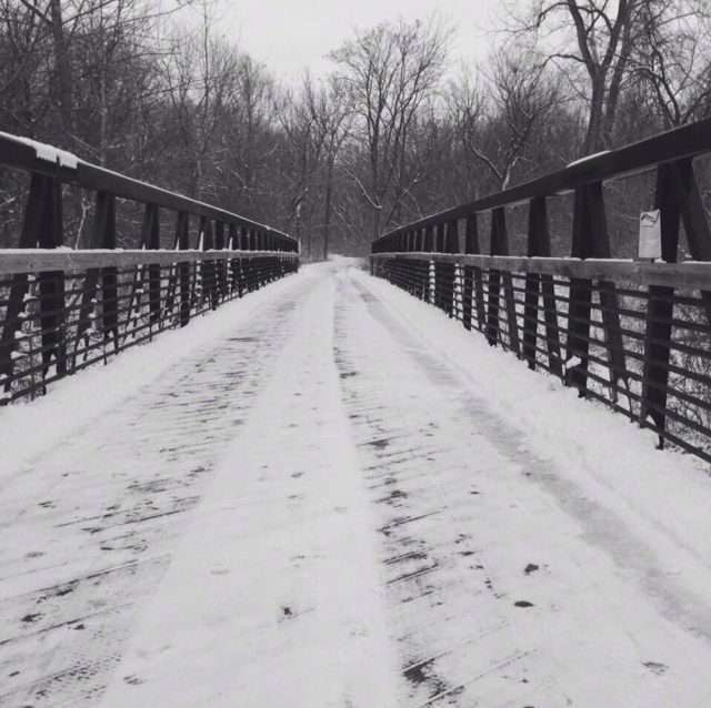Black and white photograph of a bridge with snow on it leading to a forest of dead trees