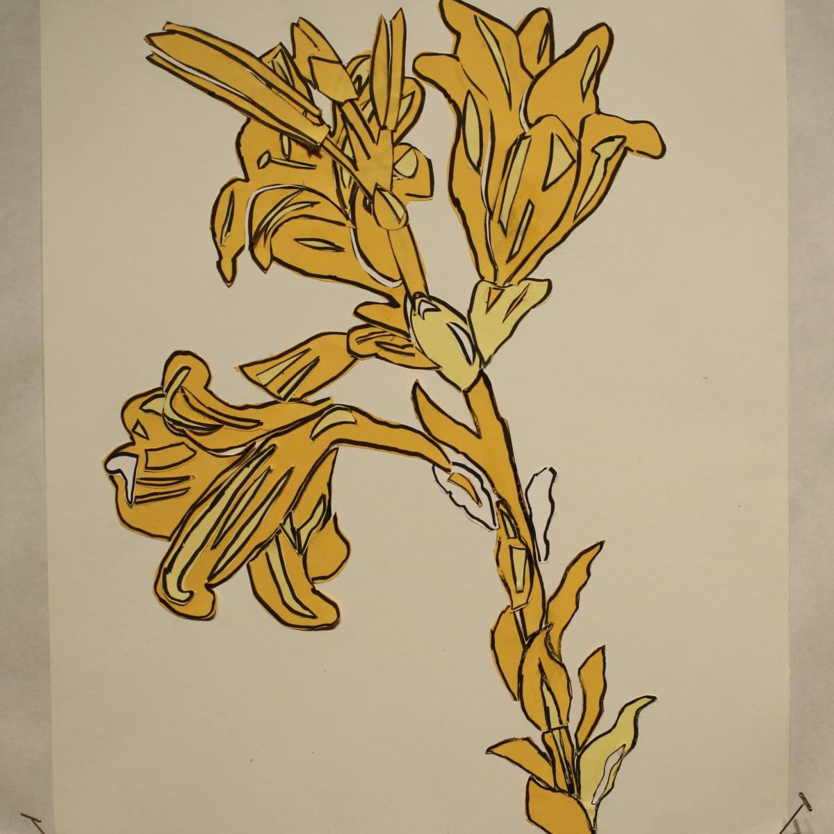 Drawing of a yellow flower